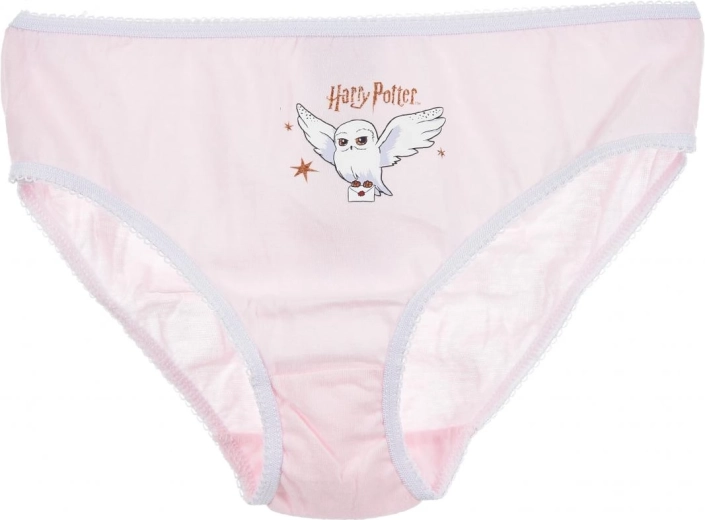 Licenseret Harry Potter-motiv