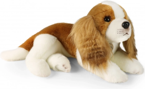 Plys hund Cavalier King Charles Spaniel 40 cm fra RAPPA