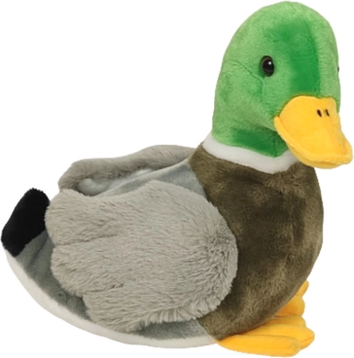 Plysbamse and 28 cm DUBI
