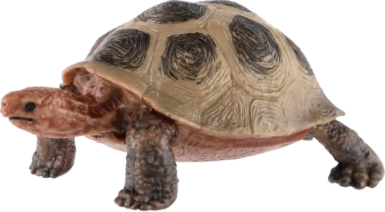 Realistisk skildpaddeudseende