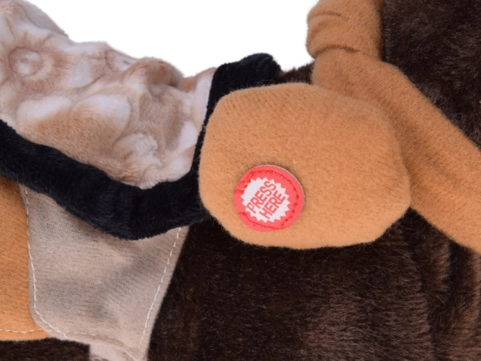 Går, vrinsker og danser til country