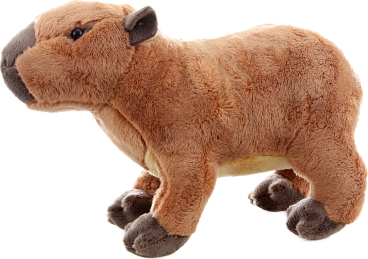 Sikker allerede fra fødslen