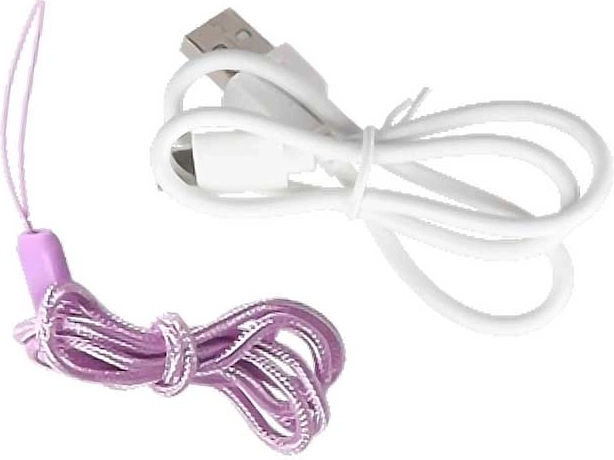 USB‑C-kabel og halsrem medfølger