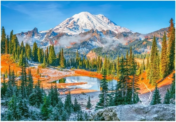 Puslespil nationalparken Mount Rainier 1000 brikker