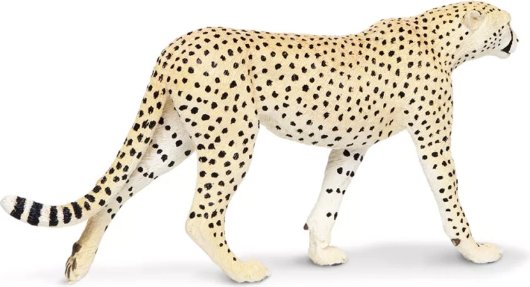 Kvalitet fra Safari Ltd.