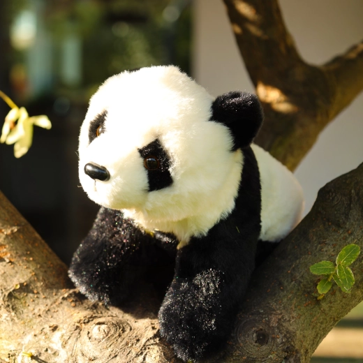 Sød panda til at kramme