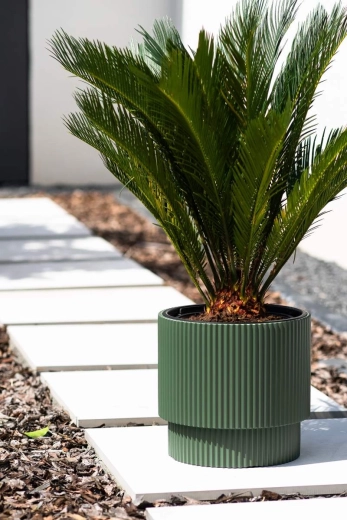 Stilfuld beplantning ved indgang eller gangareal