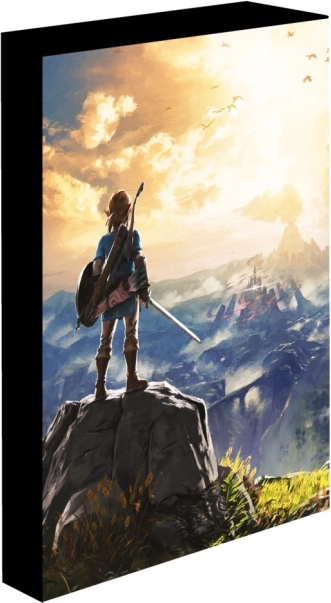 Lysende LED-billede 30x40 cm Zelda