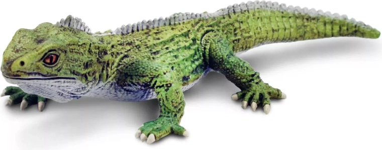 Safari Ltd. figur af tuatara