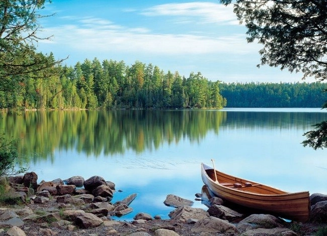 Puslespil COBBLE HILL Naturens spejl, 1000 brikker