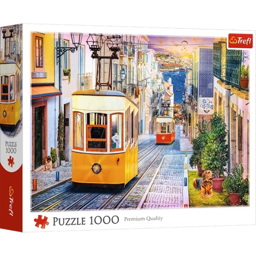 1000 brikker til en behagelig udfordring