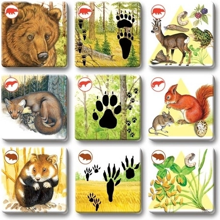 Smukke illustrationer, der fanger interessen