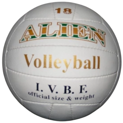Volleyball Alien 22 cm