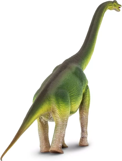 Lang hals og tro silhuet af brachiosaurus
