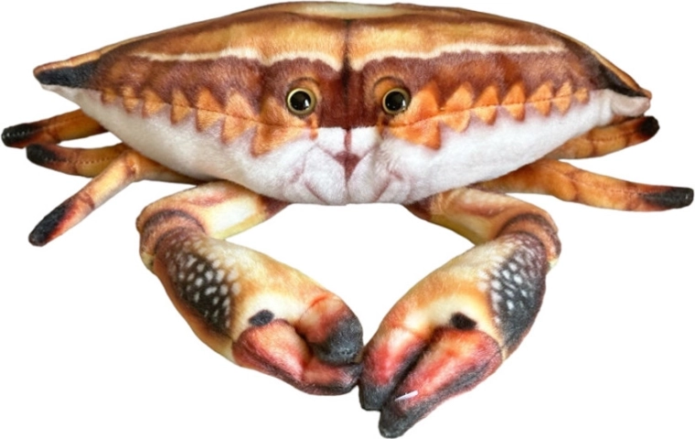Plyskrab 31 cm