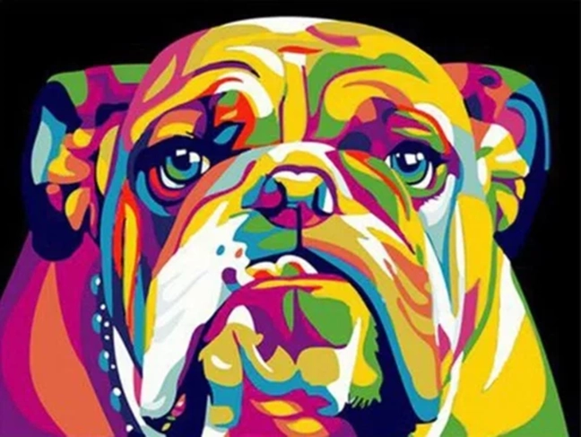 NORIMPEX Mal efter tal Farverig bulldog 40 × 50 cm
