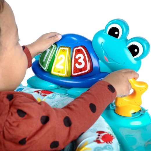 Aftagelig skildpadde Neptune til ture