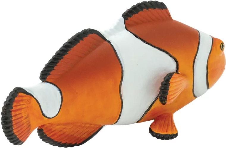 Realistisk udformning af klovnefisk (ocellaris)