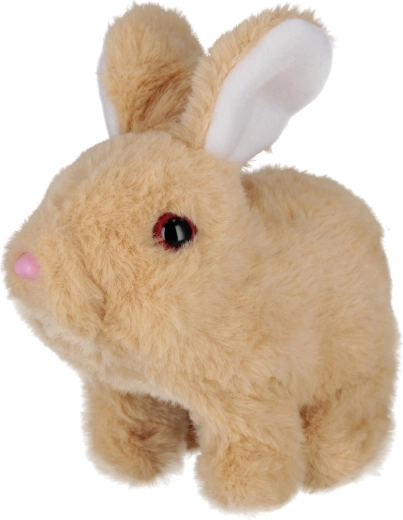 Søde bevægelser og lyde