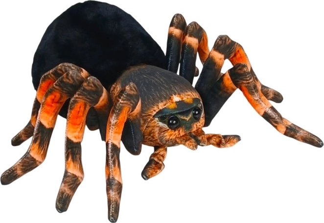 Plys-edderkop sort-orange 25 cm