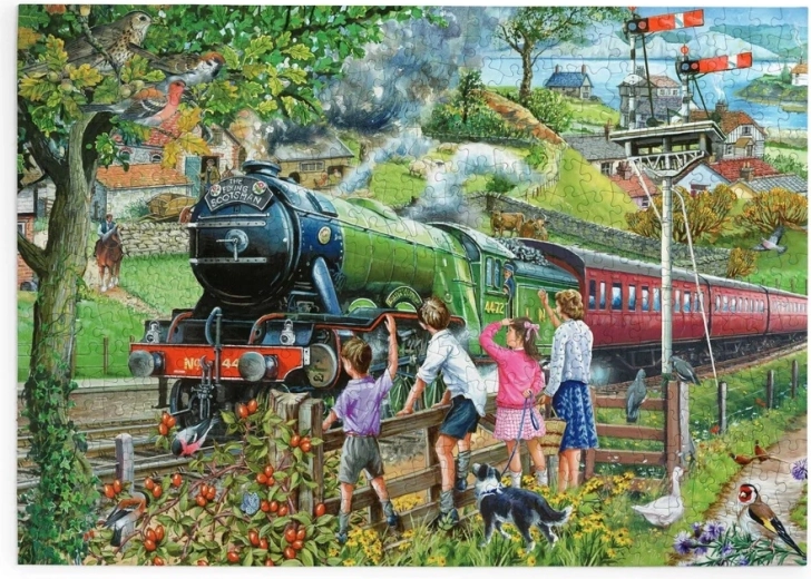 Puslespil House of Puzzles Fuld damp fremad, 500 ekstra store brikker