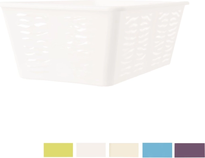 Moderne Zebra-design og mix farver