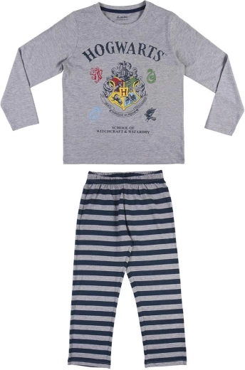 Hogwarts-motiv til Harry Potter-fans