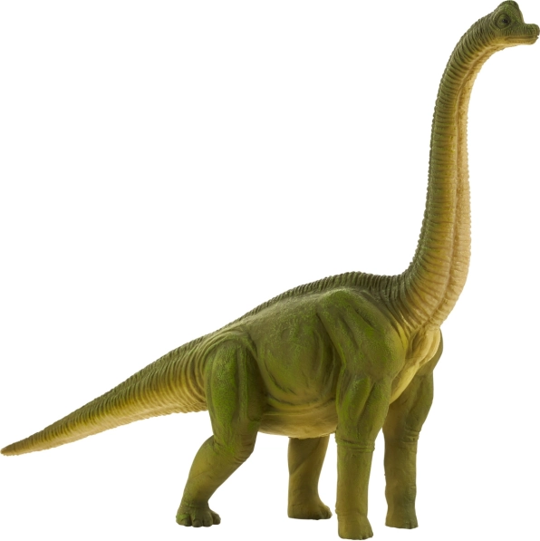Mojo stor Brachiosaurus