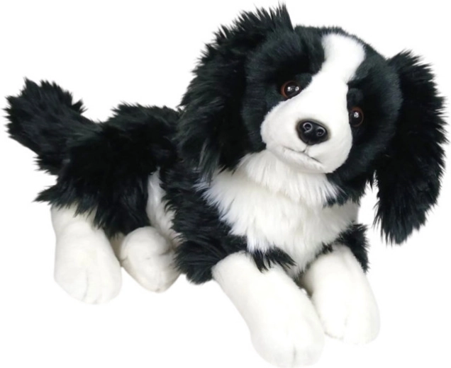 Plysset hund border collie liggende 30 cm