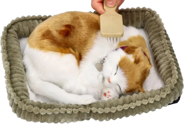 Realistisk udseende af en sovende kat