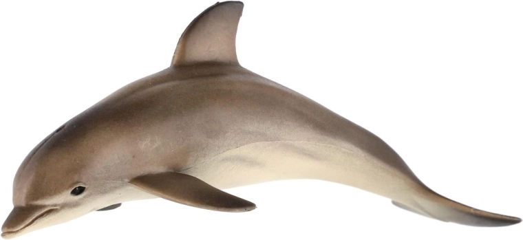 Til små opdagelsesrejsende i oceanerne