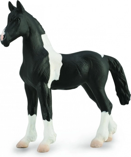 Collecta barokt pinto-føl