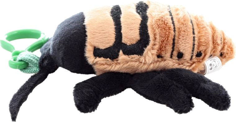 Kompakt størrelse til rejsen