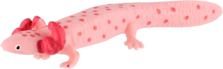 Axolotlens typiske udseende