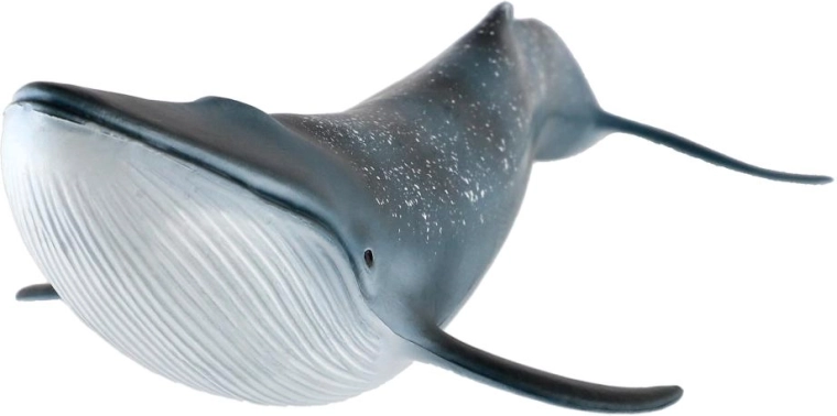 Størrelse 27 cm