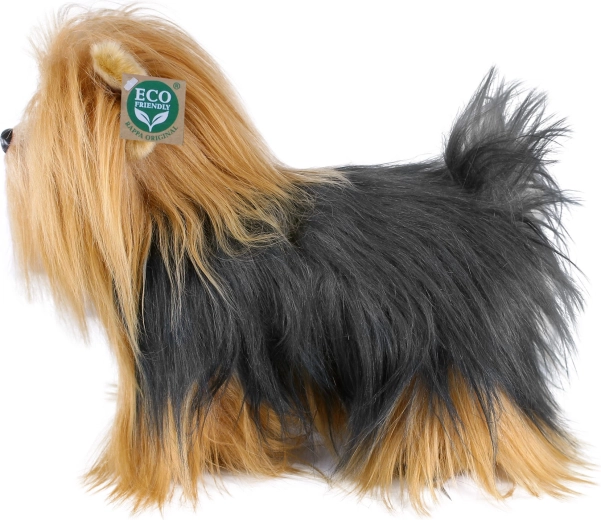 Naturtro udseende af yorkshireterrier