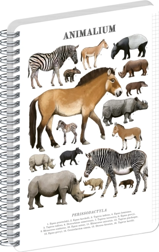 Notique spiralblok Animalium – klovdyr, A5, ternet