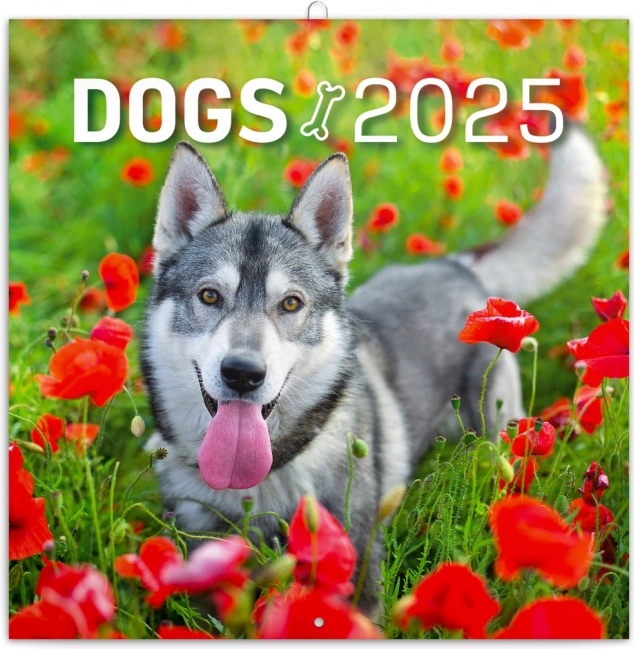 Væg-noteskalender Hunde 2025 30 × 30 cm