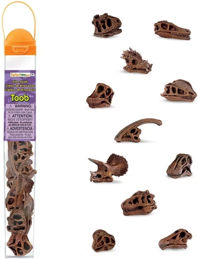 Safari Ltd. TOOBS tube – dinosauriekranier