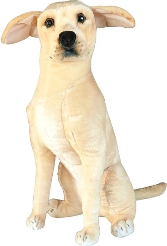 Plysset Labrador-hund 65 cm DUBI