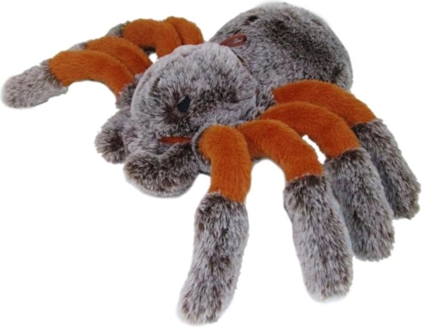 Plysbamse-edderkop 22 cm