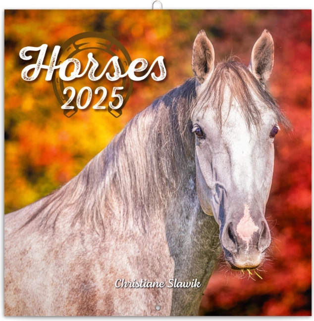 Noteskalender Heste 2025 af Christiane Slawik 30 × 30 cm