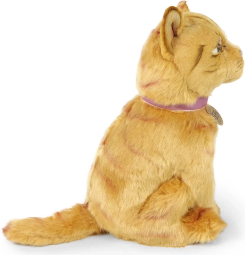 Sød siddende kat med striber