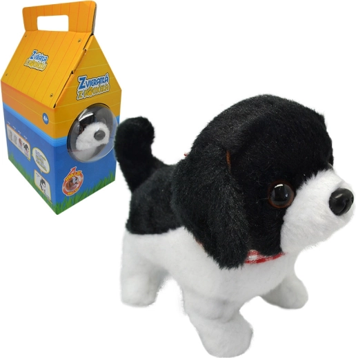 Hunden Riky