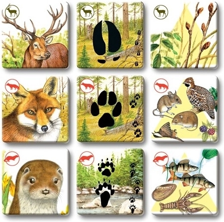 Holdbare kort til hyppig leg