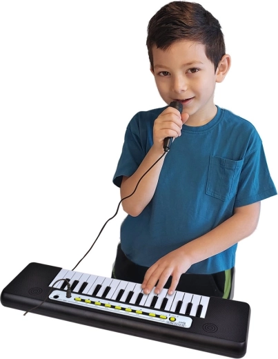 Mikrofon til musik og sang