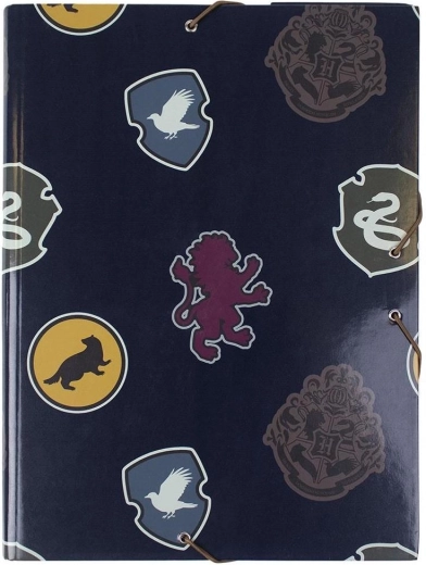 Harry Potter-motiv