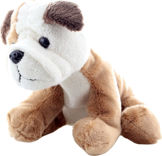 Sikker for de mindste (0+)