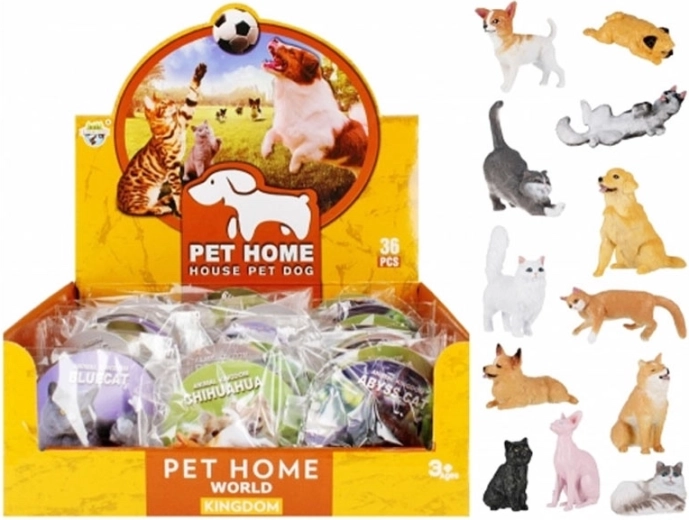 Lærende dyr – hunde og katte med kort og artsnavn