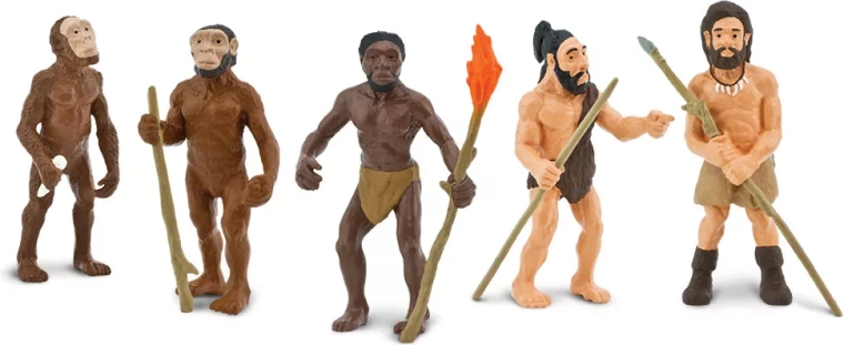 Safari Ltd. menneskets udvikling – sæt med 5 håndmalede figurer